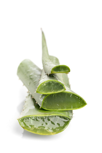 芦荟堆叠在白色背景上，垂直组成图片下载