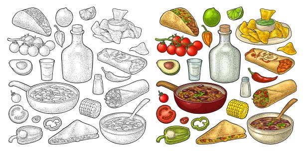 墨西哥传统食物与鳄梨色拉酱，恩奇拉达，玉米煎饼，玉米饼，玉米片图片下载