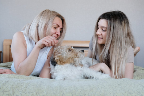 呆在家里图片下载