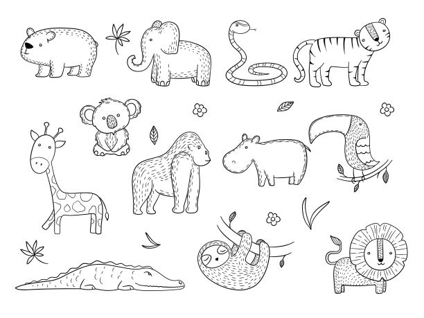 丛林动物。非洲野生动物野生猴子河马老虎线矢量绘图图片下载