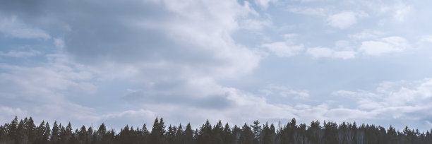 景观的全景图片下载