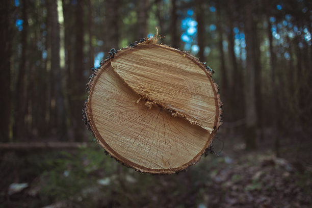 横向的斯雷兹布雷夫纳图片下载