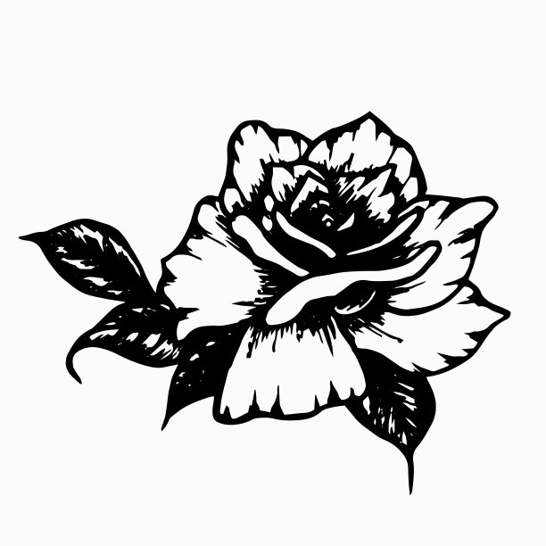 玫瑰用树叶。手绘黑墨水图片下载