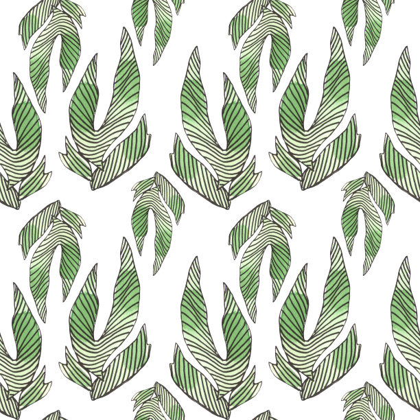 无缝水彩模式与绿色多肉在白色的背景。抽象的沙漠植物，有线条的仙人掌，涂鸦。手工上色，织物表面印刷，文具和礼品纸包装图片下载