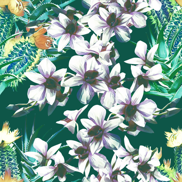 仙人掌与兰花，图案无缝。图片下载