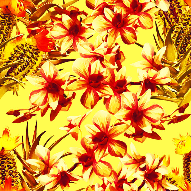 仙人掌与兰花，图案无缝。图片下载