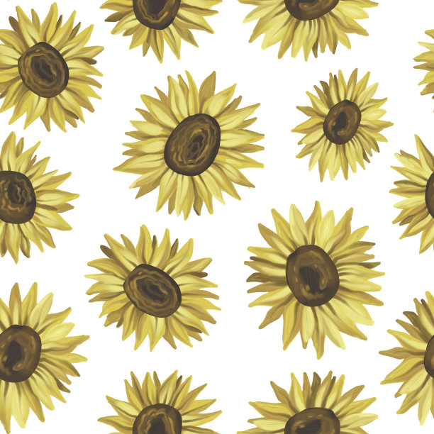 无缝pattarn向日葵。手绘，自然的桔黄色花朵。图片下载
