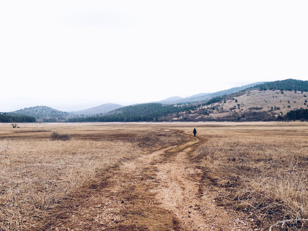 走在田野上图片下载