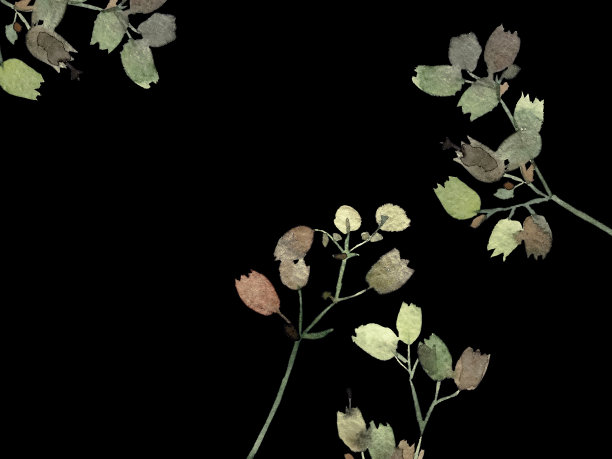 准备打印带有水彩植物艺术的明信片图片下载