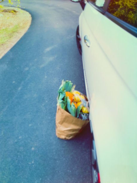 食物袋由汽车冠状病毒仁慈图片下载