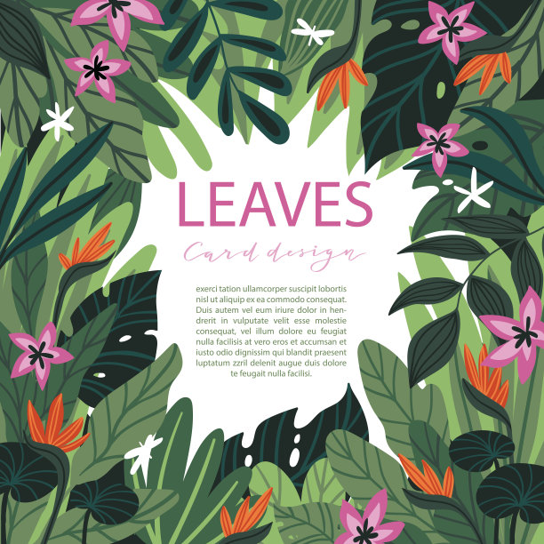 热带绿色框架与地方为您的文本。矢量背景与热带叶和花。蓬莱蕉和鹤望兰。图片下载