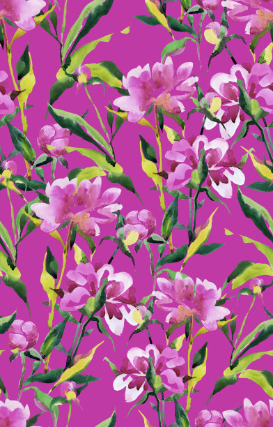 植物无缝模式与牡丹图片下载