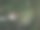 航拍照片公园图片下载