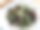 亚洲食物炒树耳菇和蔬菜图片下载
