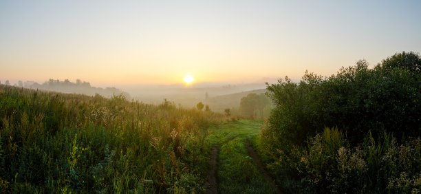 雾蒙蒙的夏季景观和冉冉升起的太阳图片下载