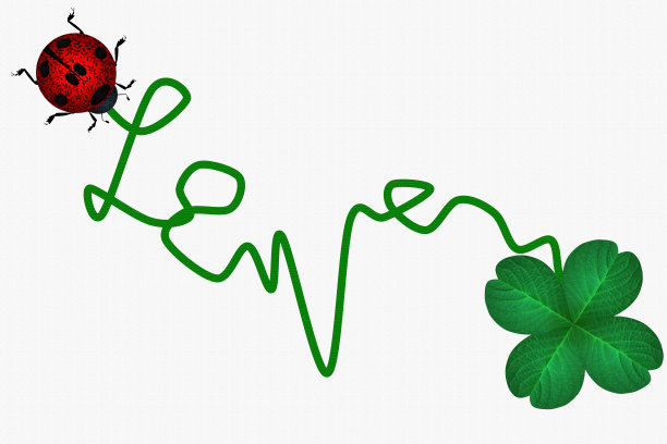 瓢虫和四叶三叶草好运图片下载