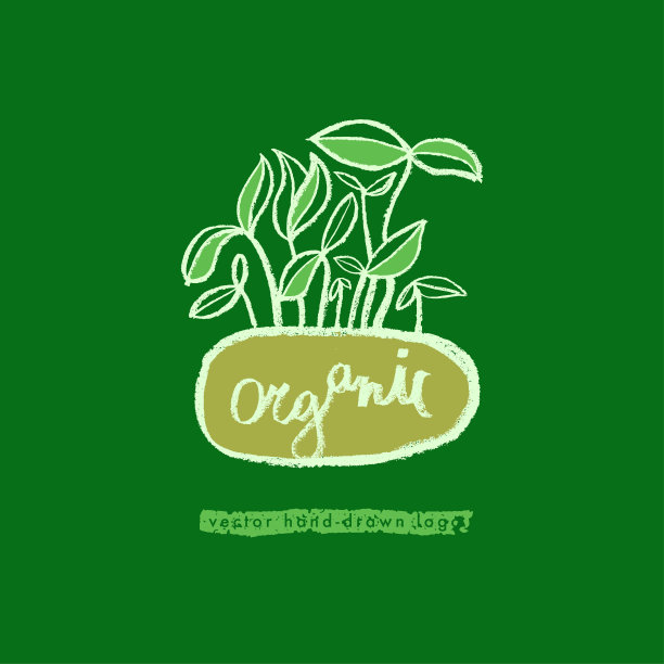 有机食品标志。健康饮食产品图标。带有手绘叶子的复古素食徽章。图片下载
