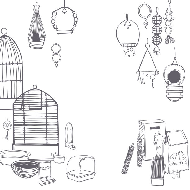 手绘鹦鹉的东西设置。向量的背景。图片下载