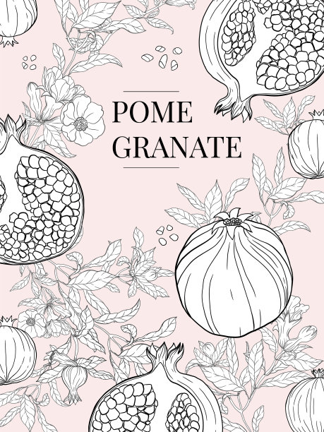 葡萄酒花和水果剪报，植物插图，石榴图片下载