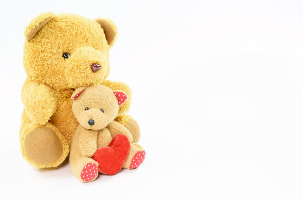 白色背景上的两只泰迪熊图片下载