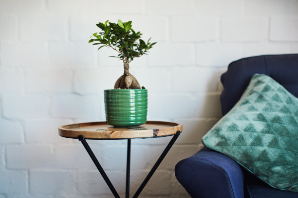 每件物品都有一个故事图片下载