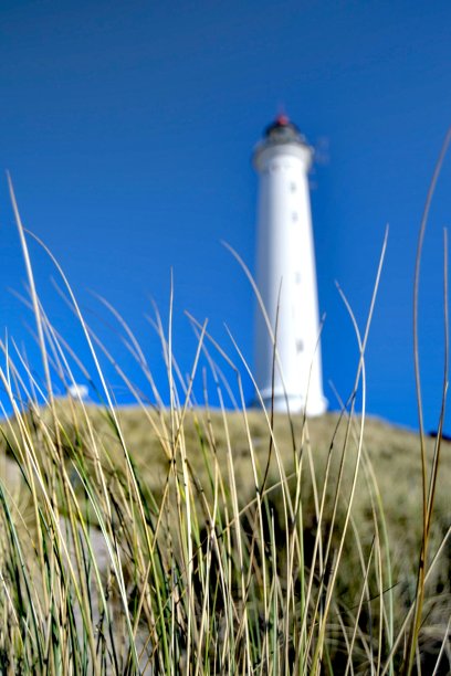 灯塔林维格图片下载