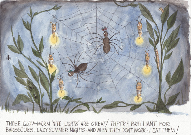 虫子-发光的虫子图片下载