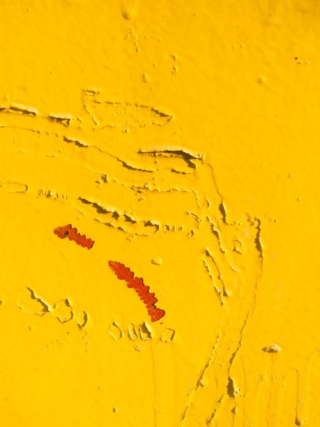 黄色抽象墙剥皮油漆图片下载