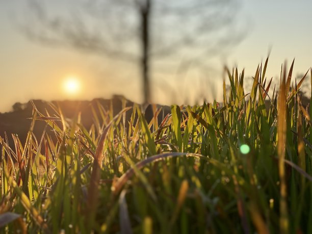 荒原上的日出景色图片下载