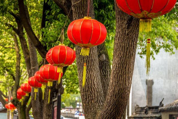 东方灯笼图片下载