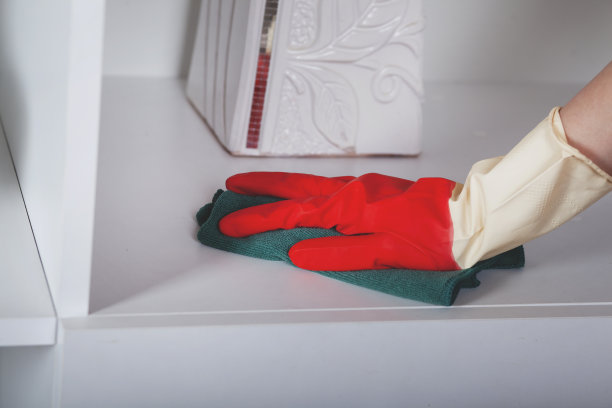 女人干净的家图片下载