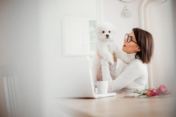 年轻女子在家工作，和她的狗玩图片下载