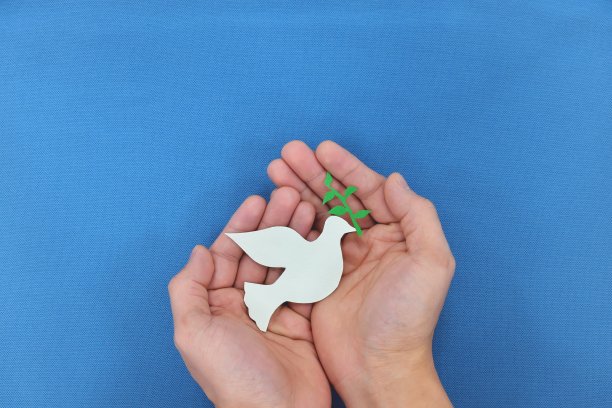 在蓝色的背景下，人们的手握着一只白鸽和橄榄枝。象征着希望与和平。图片下载