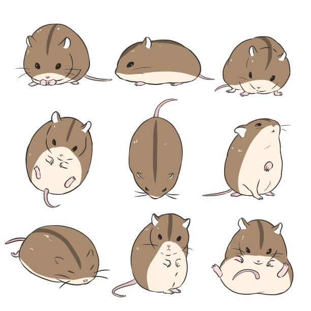 中国仓鼠图片下载