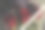 窗前的礼品盒里装着三朵红玫瑰。红玫瑰图片下载
