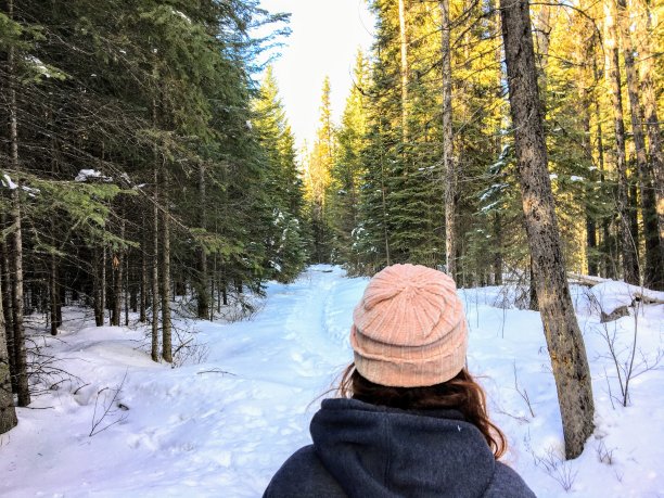 一个年轻女子在冬天沿着一条小径徒步穿越森林的背影的特写。图片下载