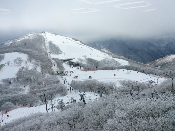 在日本的五斋正山顶图片下载