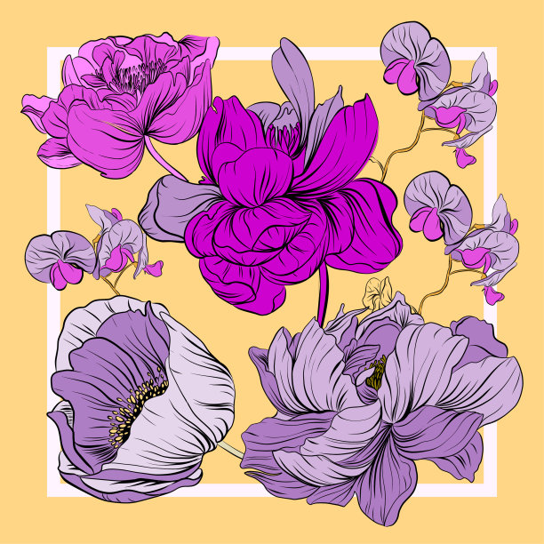 花卉图案，可用于披肩、装饰、织物。图片下载