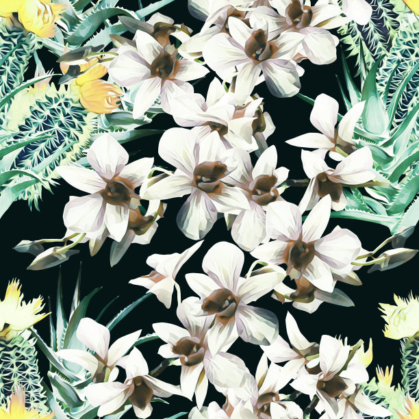 仙人掌与兰花，图案无缝。图片下载