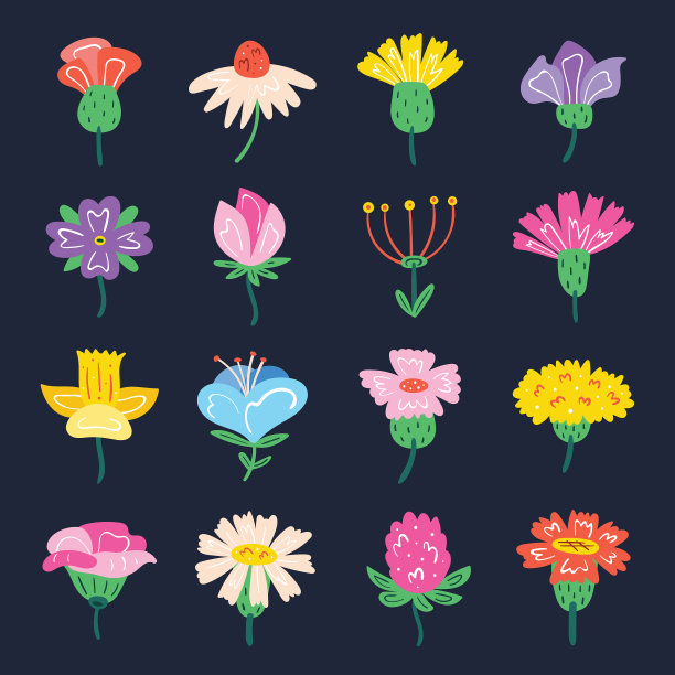 一组可爱的小野花图片下载