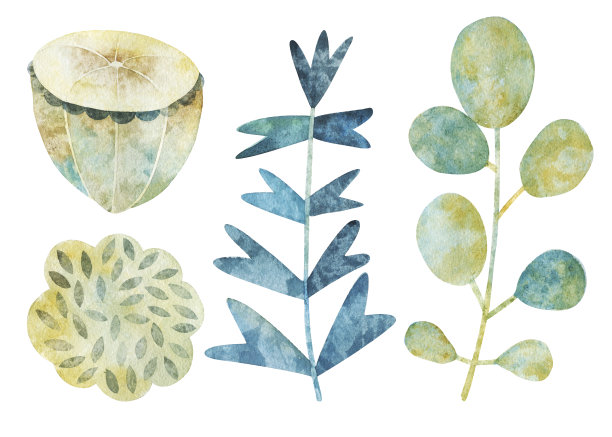一套多彩的童话植物。水彩插图。白色背景上的孤立物体。素材图片