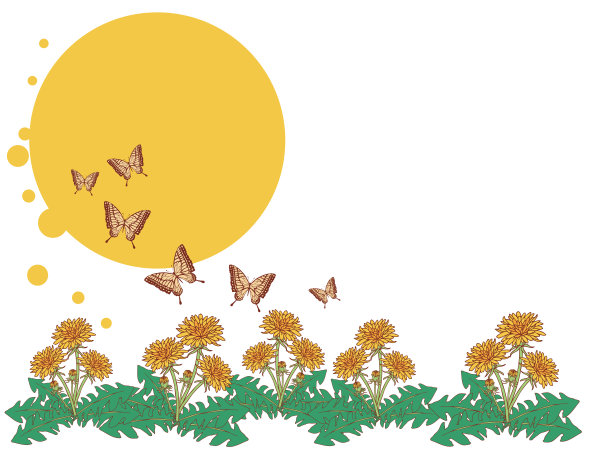 有蝴蝶和蒲公英的风景图片下载
