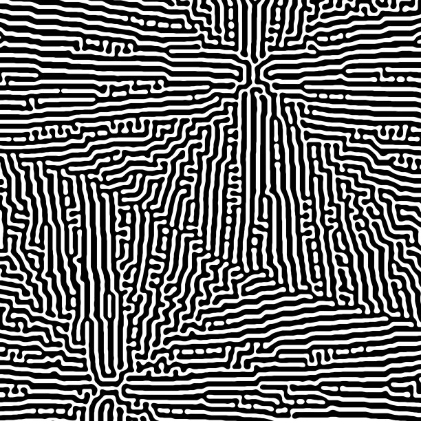 2d黑白反应扩散模式。图片下载