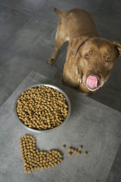 美味晚餐图片下载