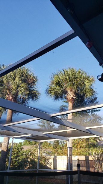 后院的观点!图片下载