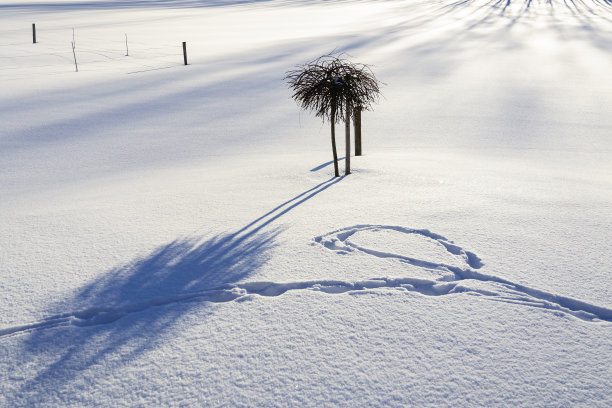 冬天农村景观图片下载