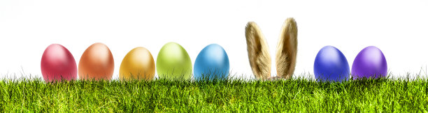 带着复活节彩蛋的复活节兔子挂在绿色的草地横幅上图片下载