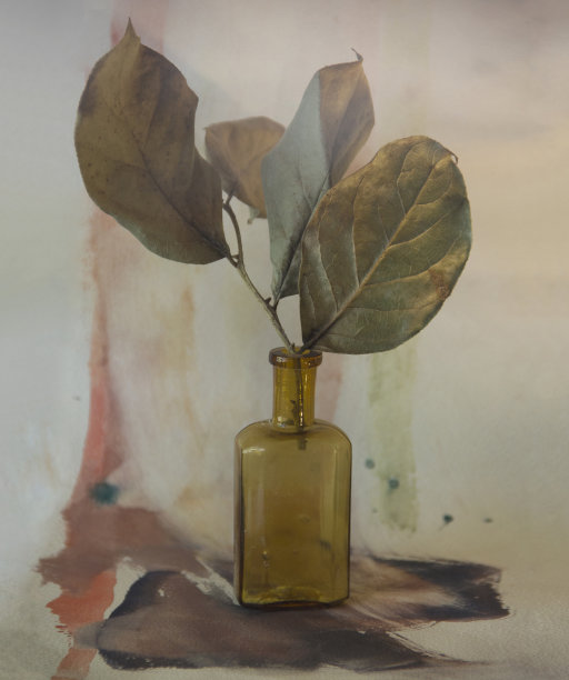 aquarell和瓶子图片下载