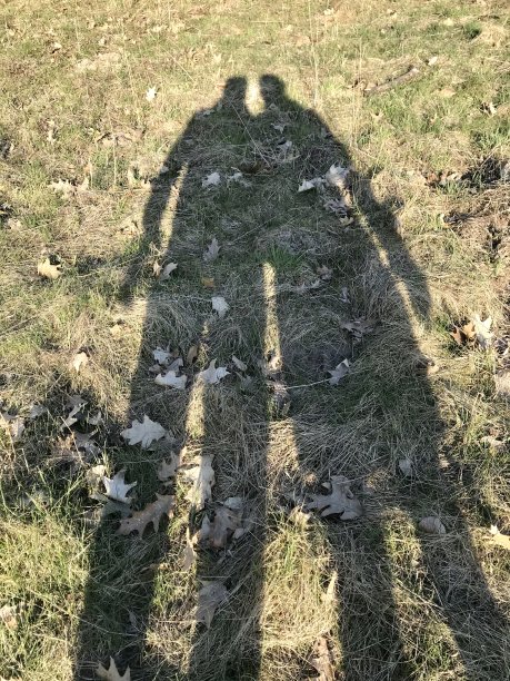 草地上有两个人的影子。抽象的照片。创意、休闲、自然、公园、森林、新鲜空气、晴天、阴影、阳光、背景、草地、思想、自由、专属、与众不同。图片下载