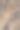 攀登绣球花的树枝图片下载